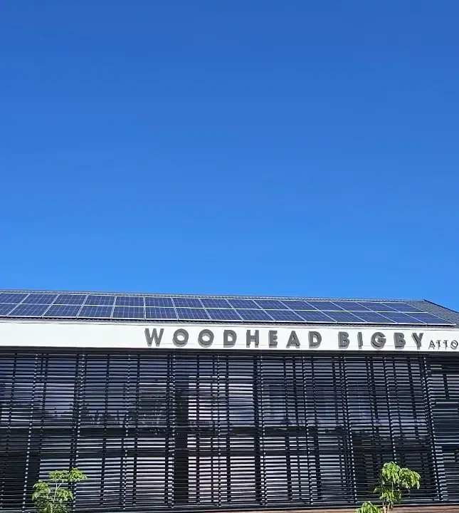 Commercial Solar Panel