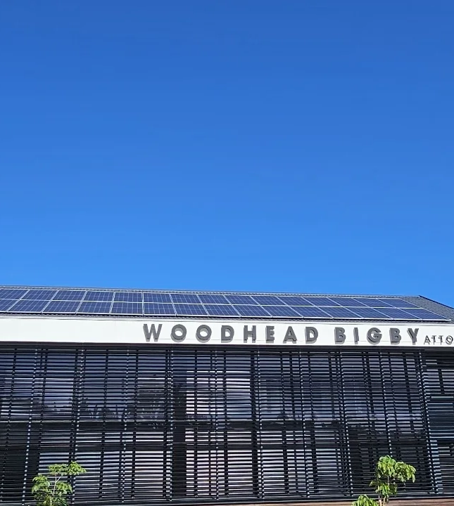 Commercial Solar Panel